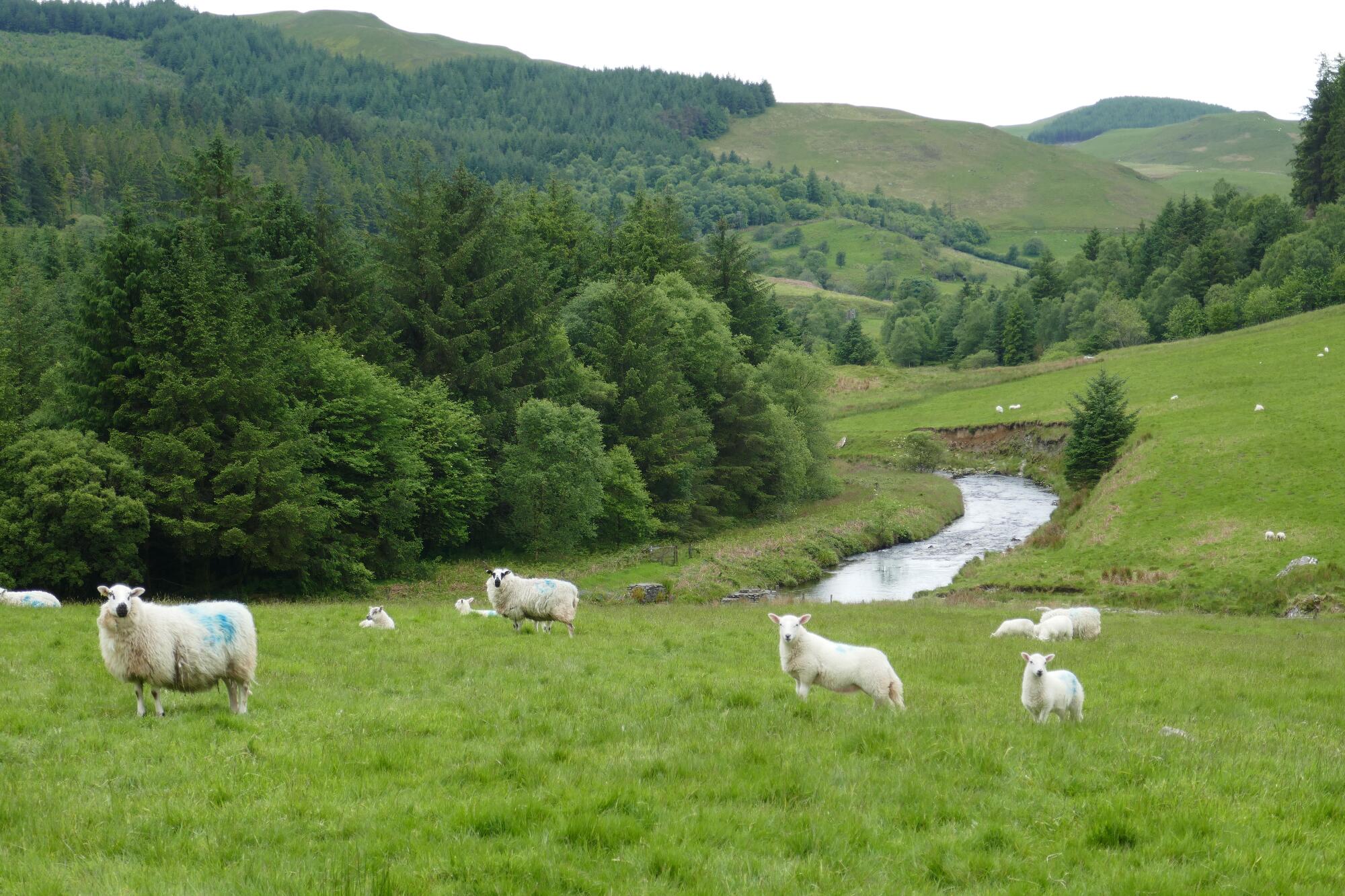RachelSeabrook.net | Wild Walking | Devils-Bridge; pic43